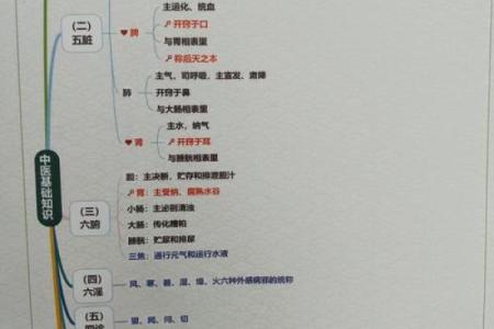 命里有水与木的运势解析,如何巧妙利用五行之力!