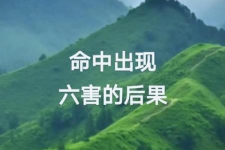 命局组合形式的奥秘与人生启示
