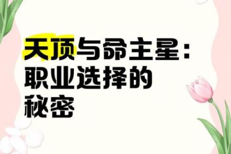 命好与命差：背后的秘密与选择