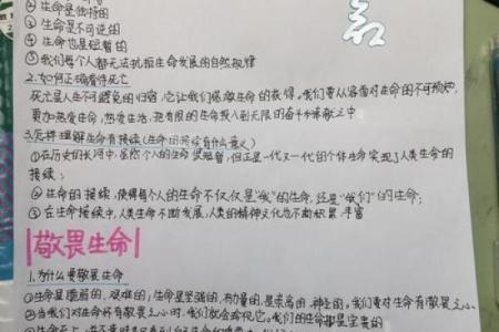 探索命理的奥秘：命1与命4的深刻意涵解析