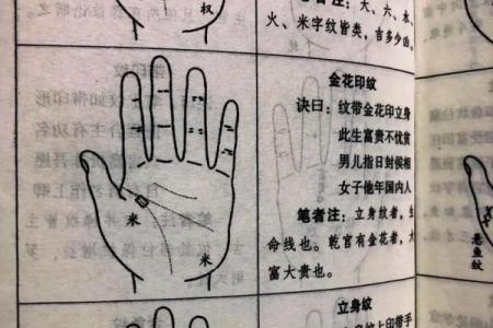 男人手相掌纹烦乱,揭示命运的奥秘与人生的起伏