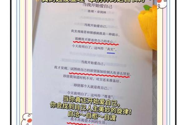 命里有爱情厄的深层解析与自我救赎之道
