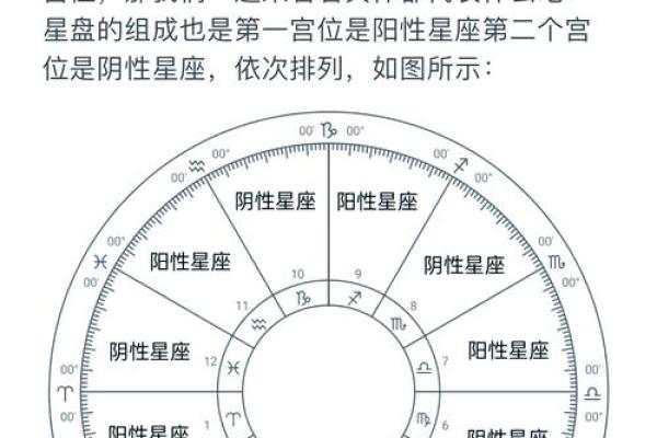 农历生辰日：你属于什么命？探索命运的奥秘