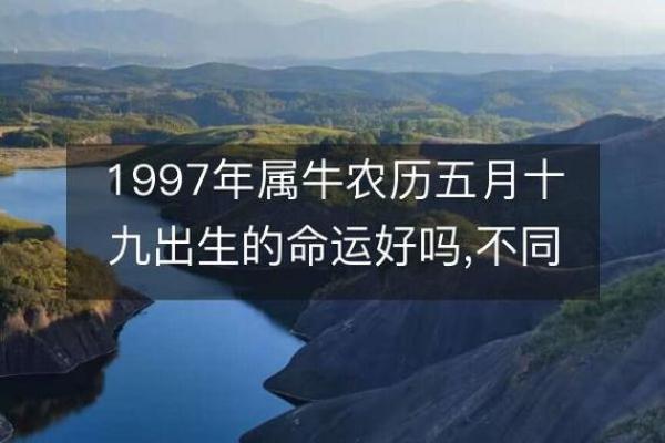 揭秘1997年出生的属牛人命理特点与五行缺失