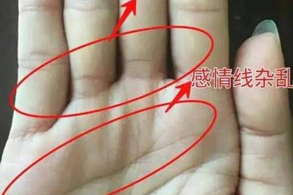 命理中的“四个印”解析：揭示你的人生潜力与运势之钥！