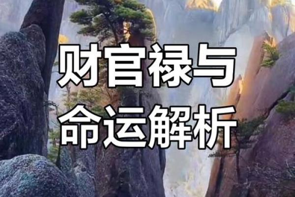 命理大师揭秘：如何通过命理排命，助你掌握人生方向