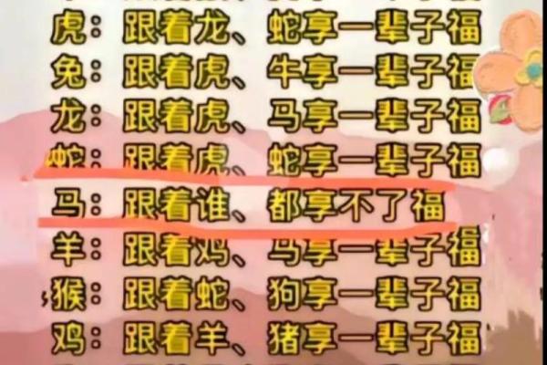 命里有时终须有，生肖带来的奇妙影响与人生启示