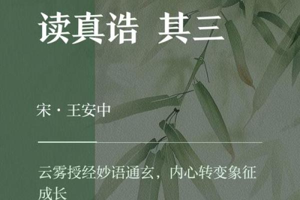 命里无屋宇，心中有乾坤——探寻内心的真正归属与价值