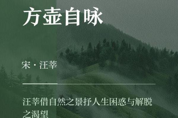 命里无屋宇，心中有乾坤——探寻内心的真正归属与价值