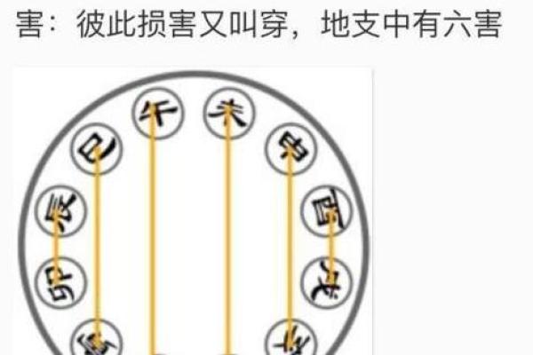 命理中的三刑三害：探秘命运中的挑战与机遇