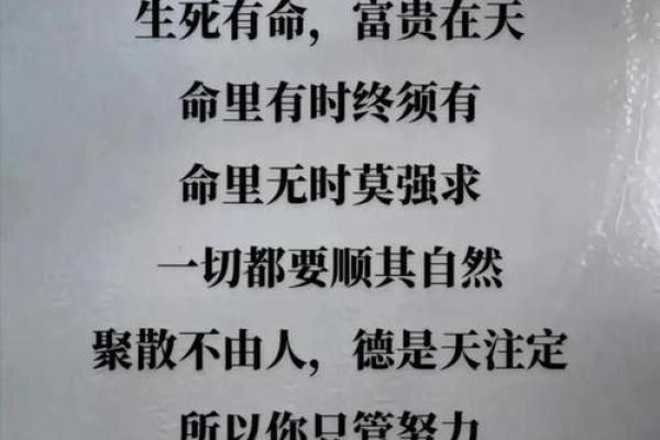 解读命格中“啥都不缺”的深意与人生启示