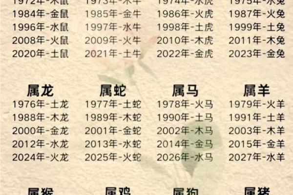 探寻龙年的五行命理：水、火、土、木、金的奇妙结合与启示