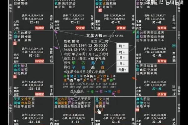 女命夫妻宫天魁旺的深刻解读与生活启示