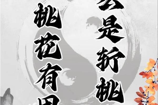 无桃花命：解读桃花运缺失的深层含义与应对之道