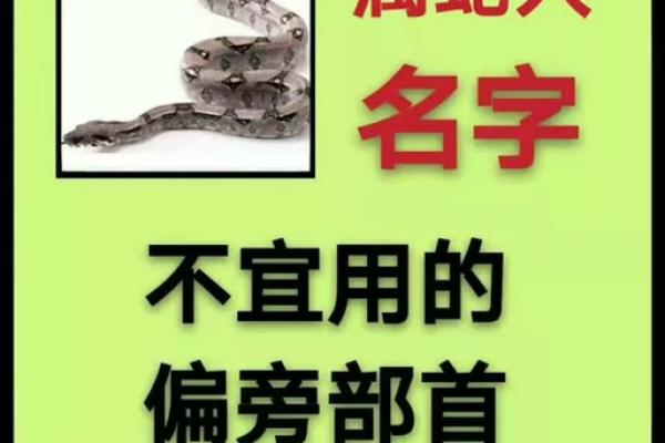 解密绿色蛇的五行属性与命理优势