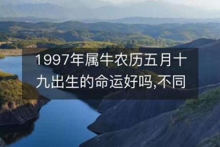 揭秘1997年出生的属牛人命理特点与五行缺失