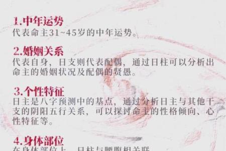 女命月支地支相同的神秘寓意与命理启示
