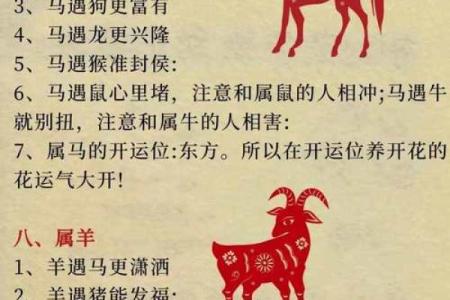 命里有时终须有，生肖带来的奇妙影响与人生启示
