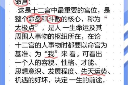 探寻命格的奥秘：如何解读你的命运与生活
