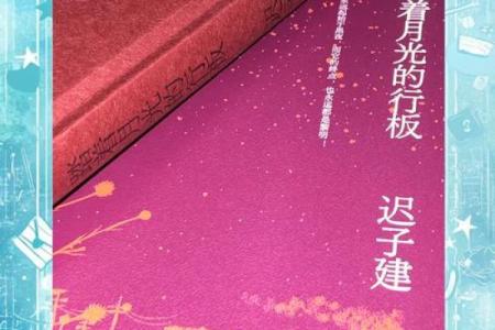 探索神秘与温情：九命怪猫的奇幻冒险之旅
