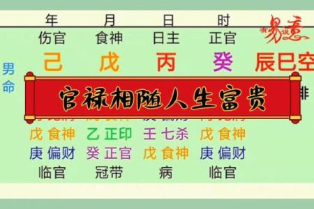 女命太阳入官禄宫的深层解读与生活启示
