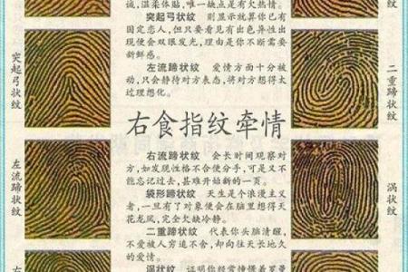 男人八个螺纹升级人生的秘密:解析你的命运与个性