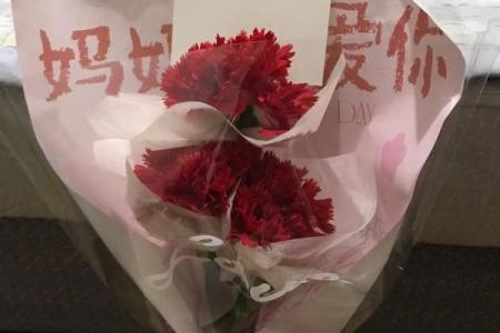 《命都快吓没,探寻生活中的惊喜与感动》