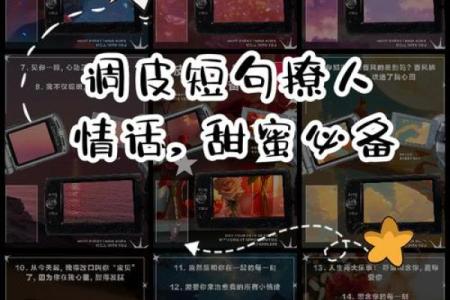 探索猫咪传闻的秘密:七条命的寓意与魅力