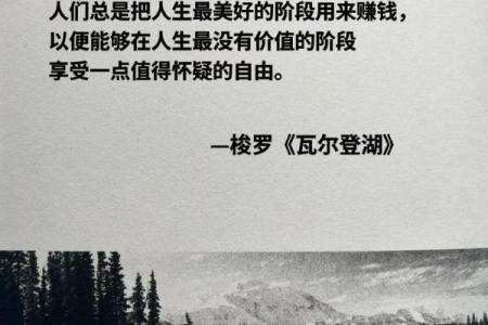 酉卦解读：品味金色岁月，探寻内心的宁静与智慧
