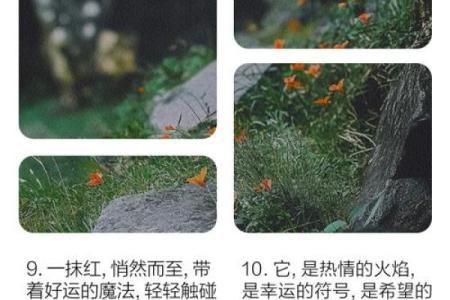 命里蝴蝶护体,幸福如影随形的神秘寓意