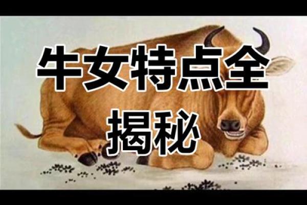 探索农历十二月出生的牛女命理与性格特点