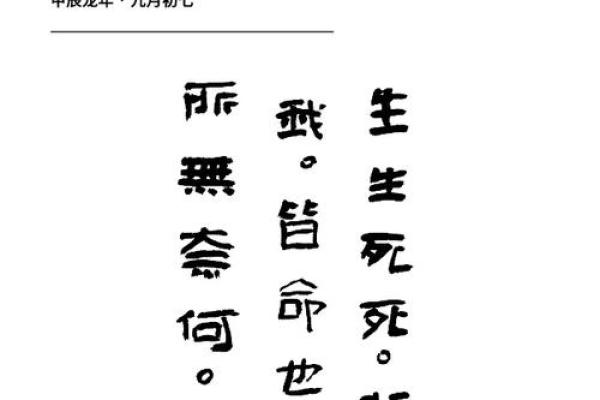 探寻“命”字背后的哲学智慧与人生启示