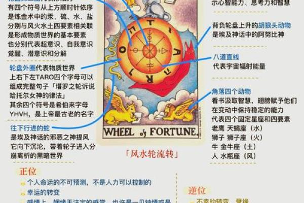 揭开1997年8月14日出生者命运之谜，揭秘神秘人生轨迹！