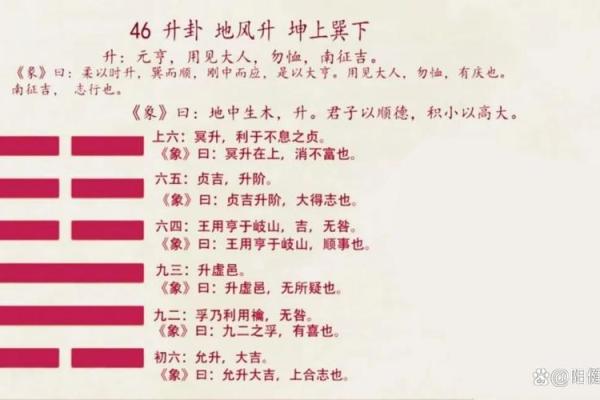解读命盘格局：揭示你的命运密码与生活方向