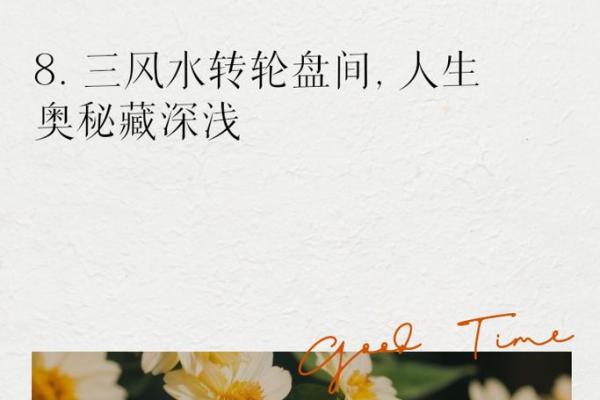 命好是什么意思？探索命运与人生的奥秘与启示
