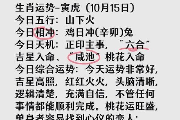 女人桃花坐命的深意与生活智慧探究