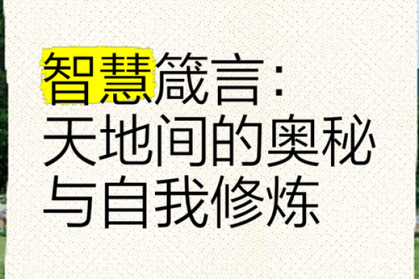 命名的艺术：背后隐藏的奥秘与智慧