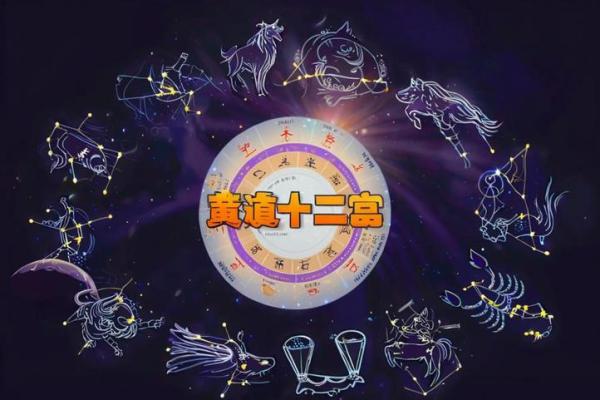探索命号之趣：生肖与命理的奥妙世界
