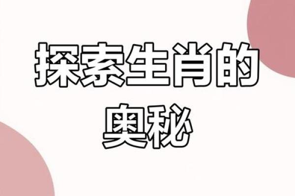 探索命号之趣：生肖与命理的奥妙世界