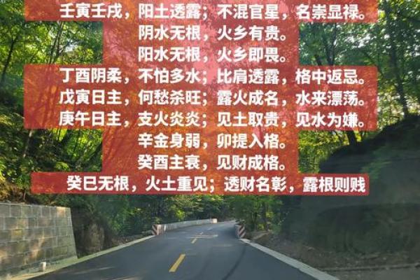 男命无火无木的命理解析与人生启示