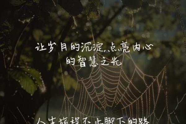 探寻“就高的命”背后的深意与生活哲学
