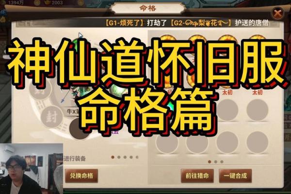 探索木命的和谐之道：如何找到合适的命格搭配？