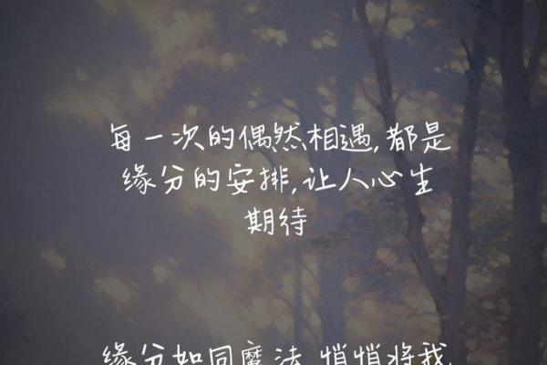 命理视角下的异地恋：你们的缘分如何？