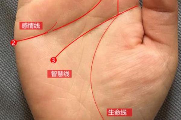 女人少三个手指的命运解读与人生启示