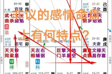 命盘主星揭秘：揭示你的性格特征与人生导向