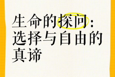 探索命的奥秘:理解生命价值与自我实现的旅程
