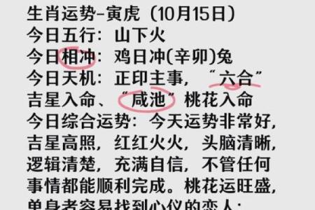 女人桃花坐命的深意与生活智慧探究