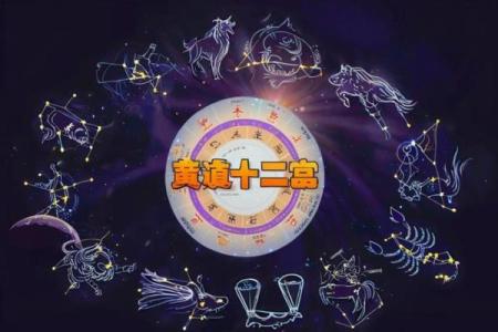 探索命号之趣:生肖与命理的奥妙世界