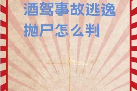 酒后驾车为何危害巨大，可能丢命的真相解析