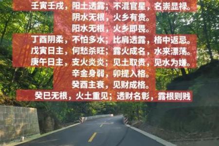 男命无火无木的命理解析与人生启示